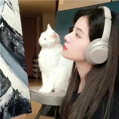 单骑歼霸